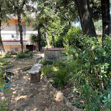 Ferienwohnung Giardino Sud - A Pochi Passi Dal Mare San Vincenzo Exterior foto