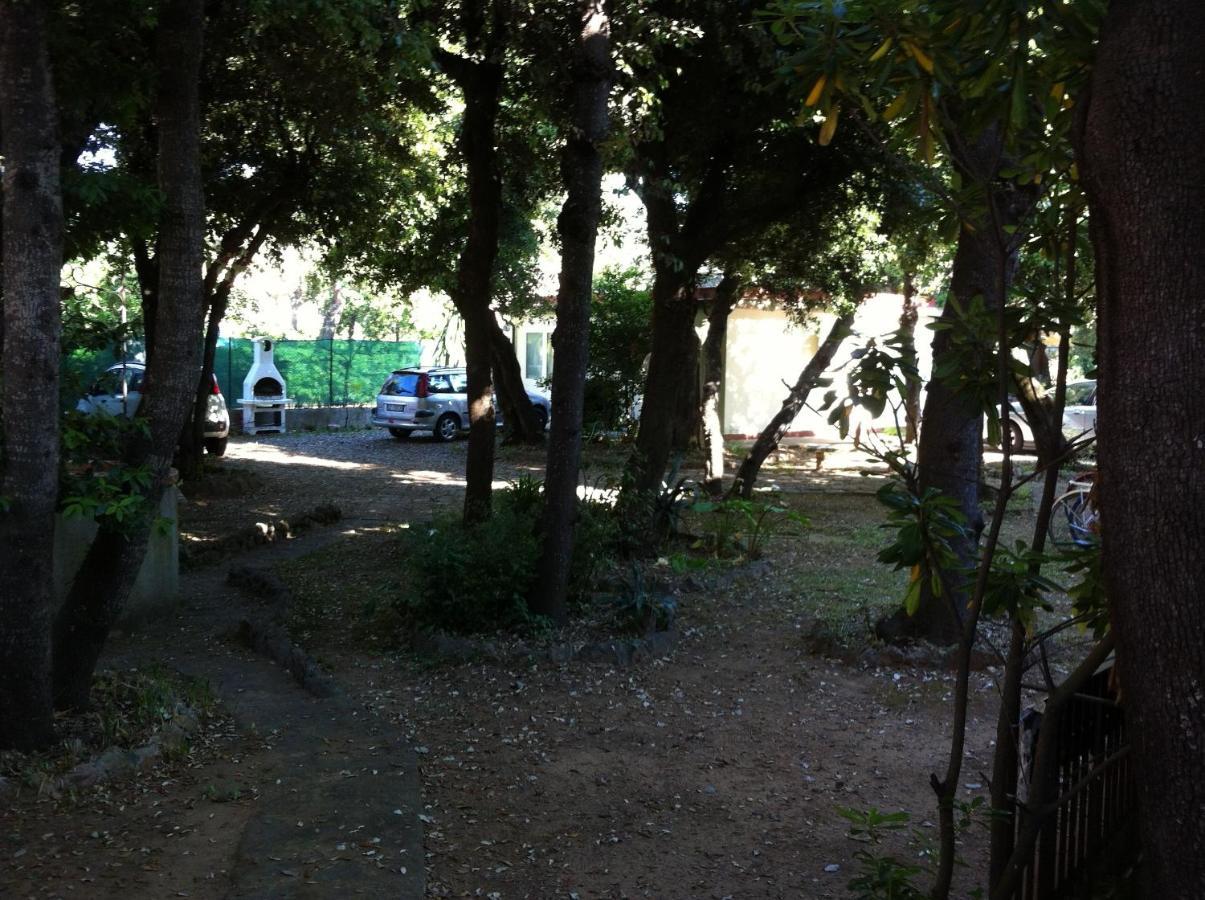 Ferienwohnung Giardino Sud - A Pochi Passi Dal Mare San Vincenzo Exterior foto